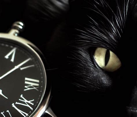 mizuhara seiko|Japanese watchmaker Seiko breached by BlackCat。